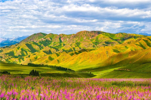 易德轩网提供 21年7月1日出生男宝宝八字缺什么 生日密码如 八字五行 易德轩网