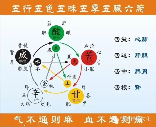 五行与养生【五行专业知识值得收藏】