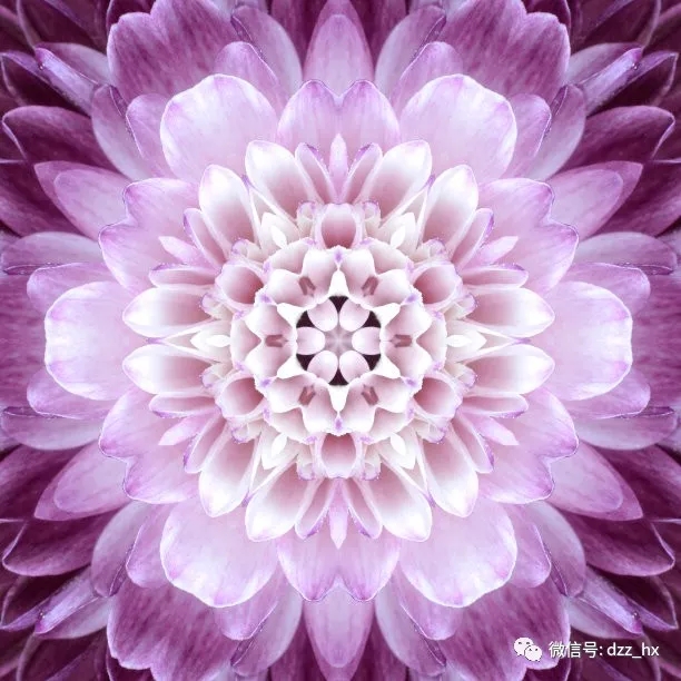 五行养生知识五脏五行与养生