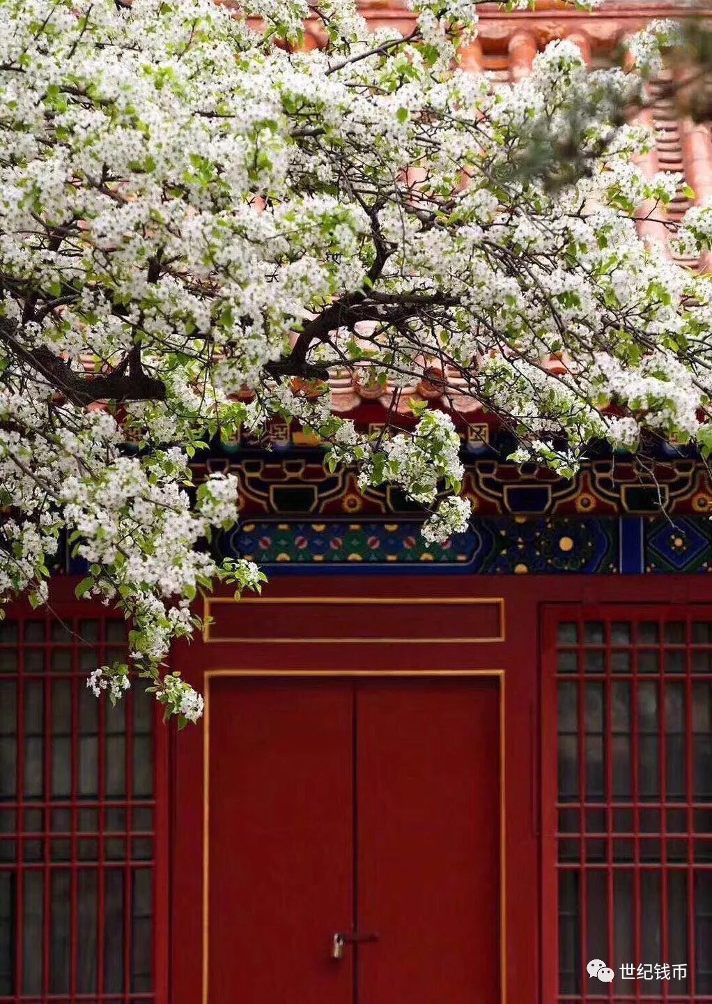 民间谚语180句，老百姓的生活智慧！