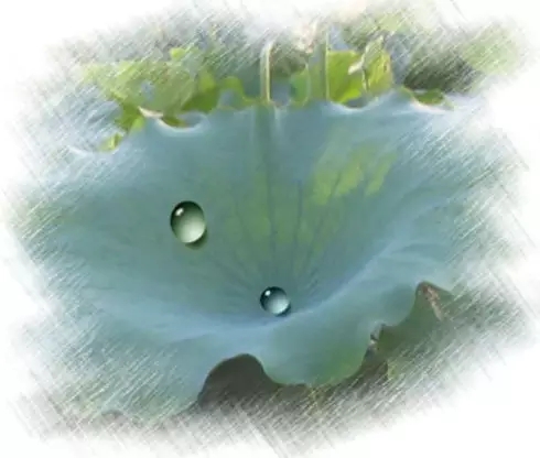 五行风水养生法与中医五行养生法