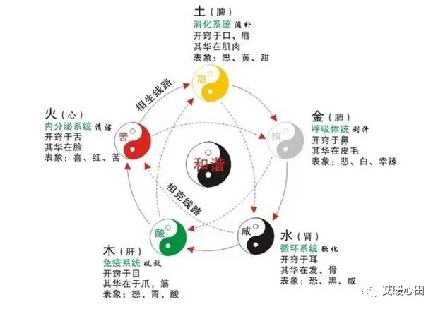 五行养生如何养？