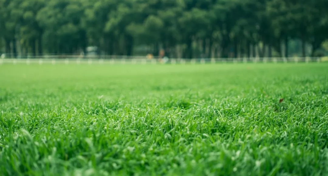 中医五行养生法