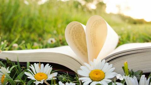 【因果】运势与改运