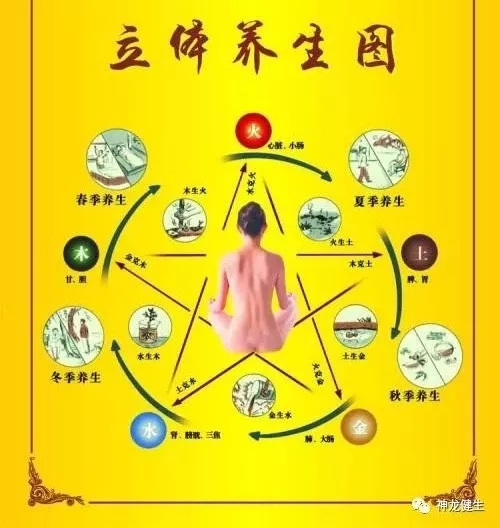 何为五行？怎样依照五行养生？