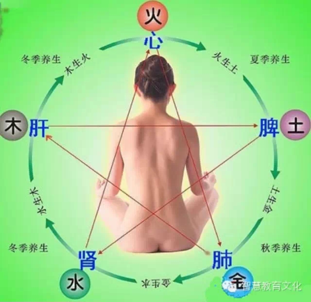 中国五行，教你如何养生看相，太厉害了，请收藏！