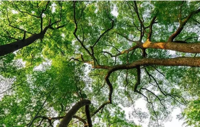 【品味人生】不必永垂不朽，只要曾经拥有