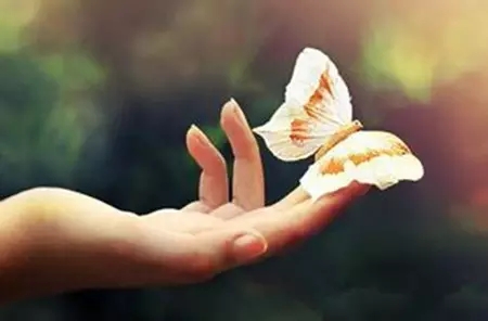 五行养生告诉你：如何养护夏季的“火”