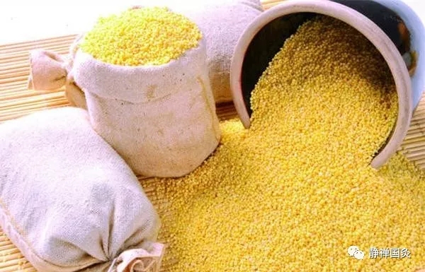 五谷杂粮养生效果好