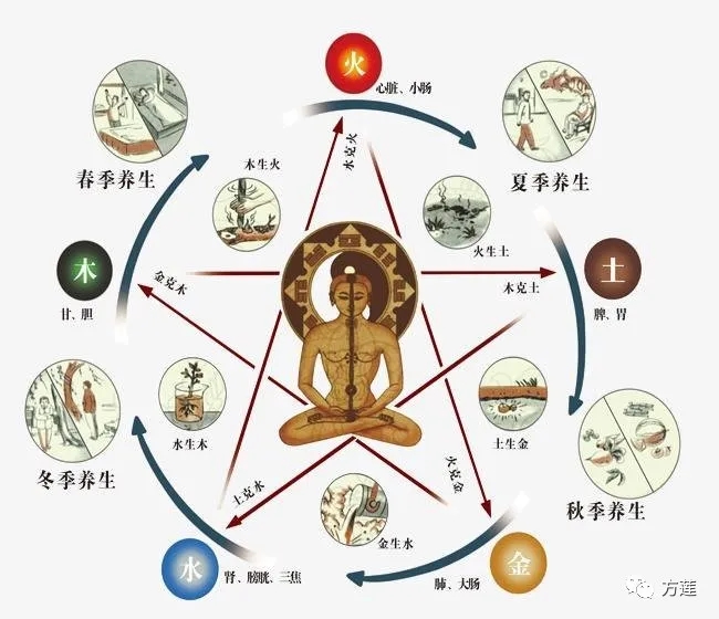 道家五行养生之养肝篇