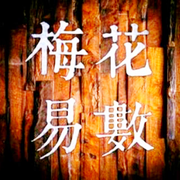 梅花易数六爻解析