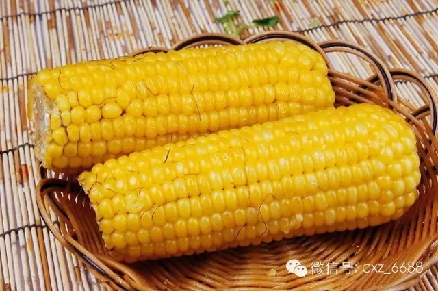 五谷杂粮要怎样吃才最养身？