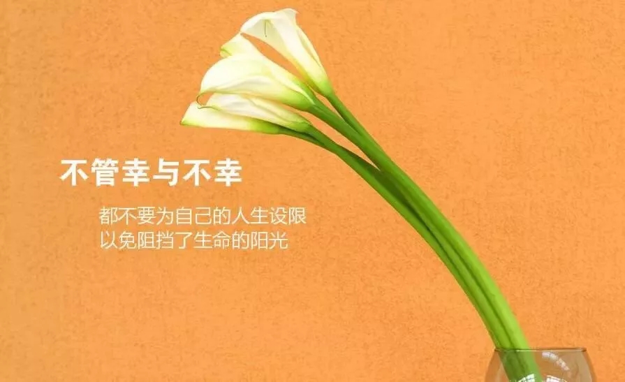 品味人生很贴心的一段话