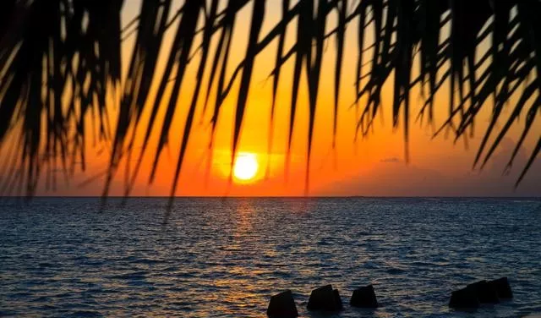 人到中年，品味人生