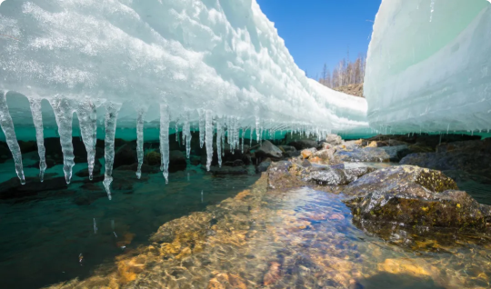 5个小故事，品味人生