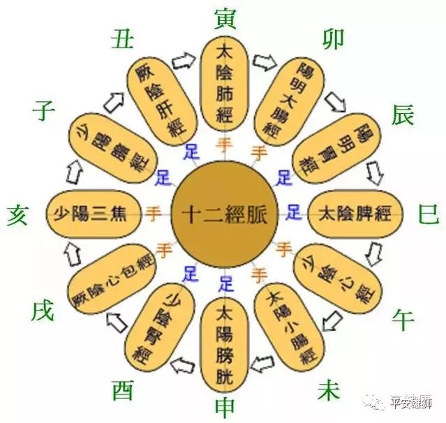 经络五行养生，您必须知道的中医基础知识！