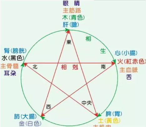 中华养生文化——养生五行图，太经典了，必看！！