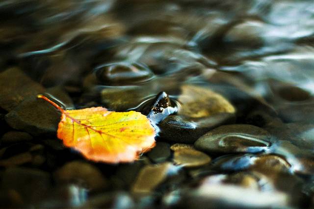 中医五行与养生，太厉害了！