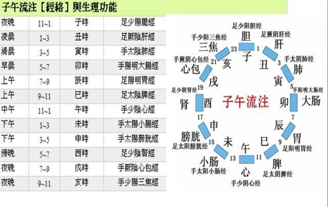 养身之道｜中医养生品味生活之道