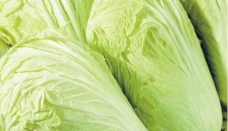 五行养生如何养：五行养生法有哪些呢?