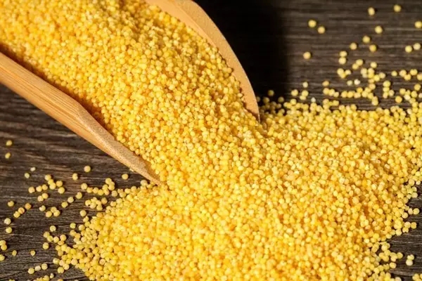 五谷养生有绝招，这样吃更健康