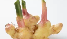 冬吃萝卜夏吃姜？中医破解民间谚语的养生误区！