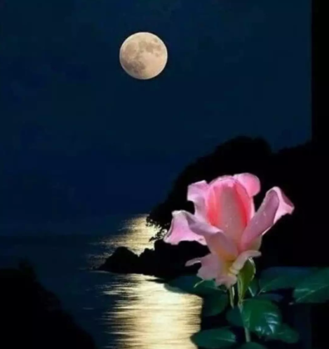 跟着谚语学养生： 顺时养生 ，养其神