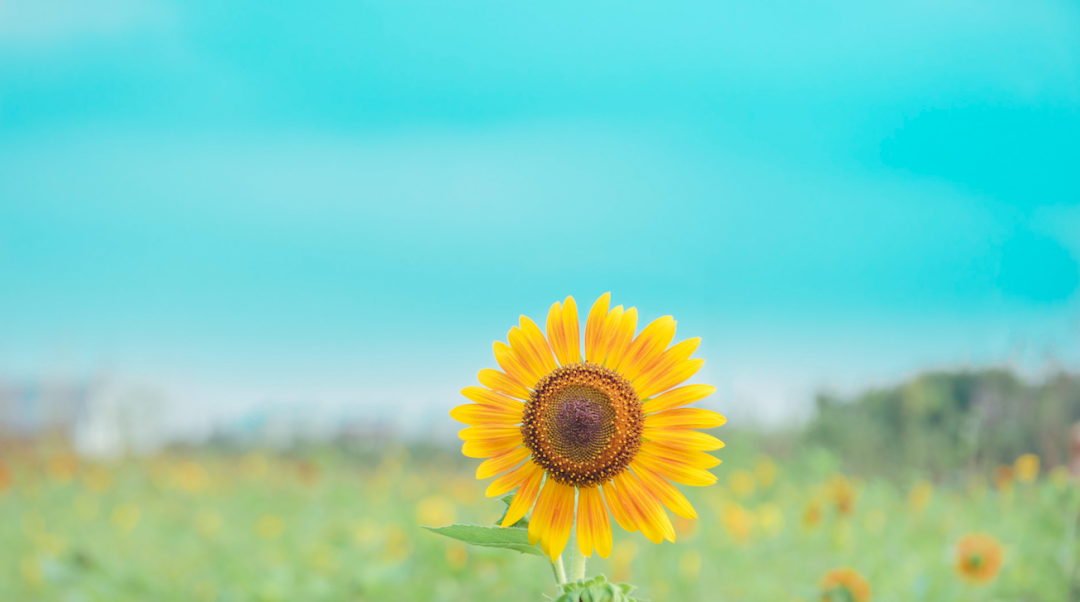 健康养生；夏天补阳气做6件事