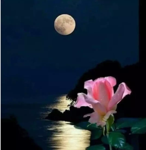 跟着谚语学养生：谚语与敬老养老