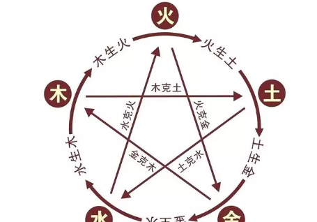 学会中医五行，指导饮食养生！