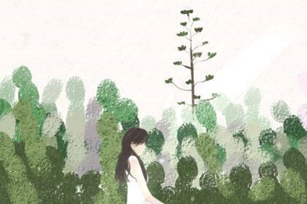 金钱龟能养几只