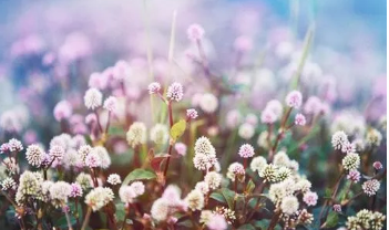 养生知识：免疫力低下的表现有哪些？