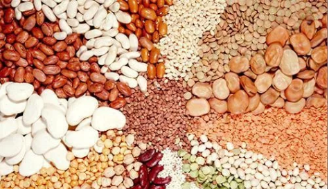 民间谚语：冬吃萝卜夏吃姜，五谷杂粮最健康！