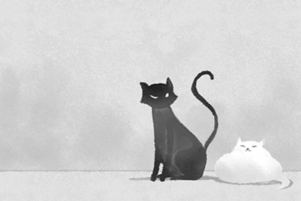 家里养黑猫有什么说法