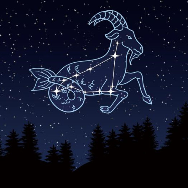 堪称一个看似普通却实在不走寻常路的星座