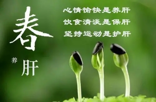 春季养肝、养生知识大全