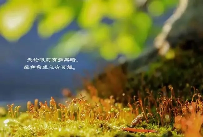 知命改运法七十八条