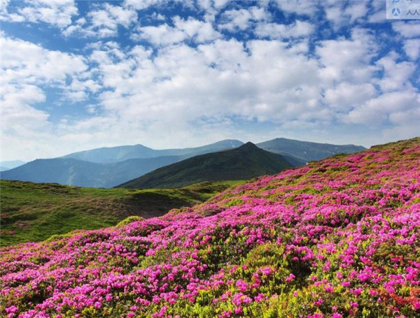 婆媳矛盾是家庭中的棘手问题，哪些女人的紫微命格会是婆家上下都喜欢的“得人疼”媳妇？