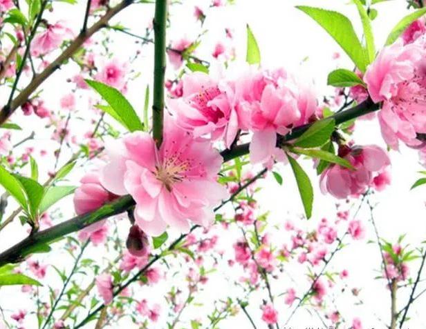 有些人闹情绪时非把对方弄得伤痕累累，生活中哪些星座最爱伤人还不自知呢？