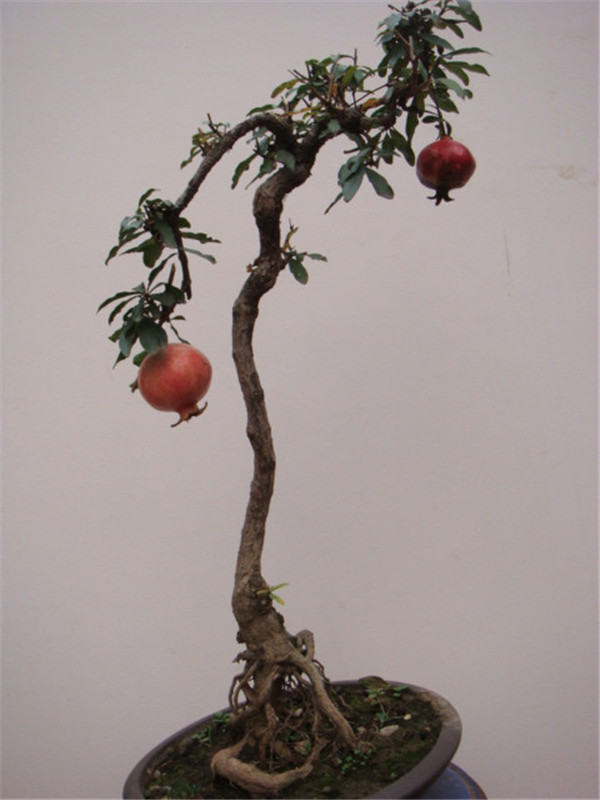 职场中这些话你永远不能说，因为几句话就断掉自己升职加薪的机会