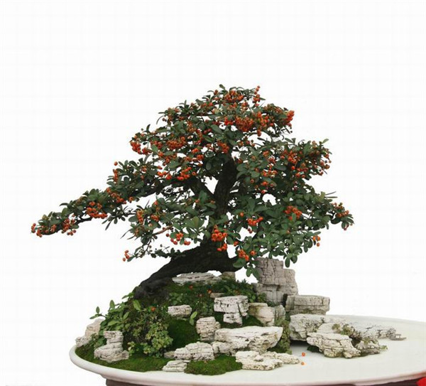 怎么样才能成为婆婆想要的好儿媳？