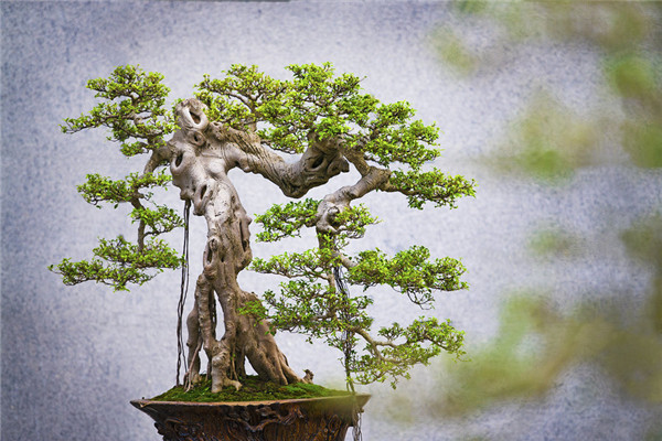 如何让压力变成你的正能量