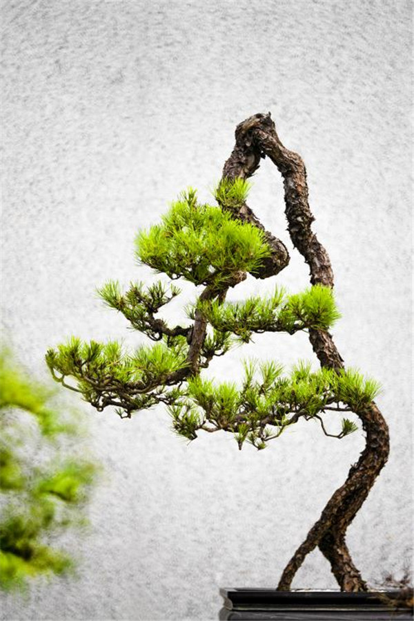 你有能力收服花心男吗？什么样的女生能让花心男服服帖帖？