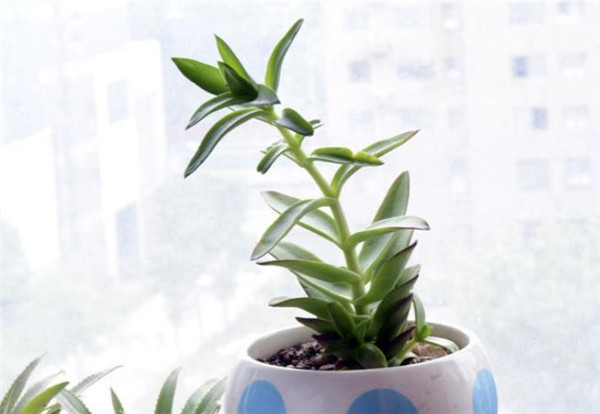 女人也能顶起半边天，哪些女人你HOLD不住呢？