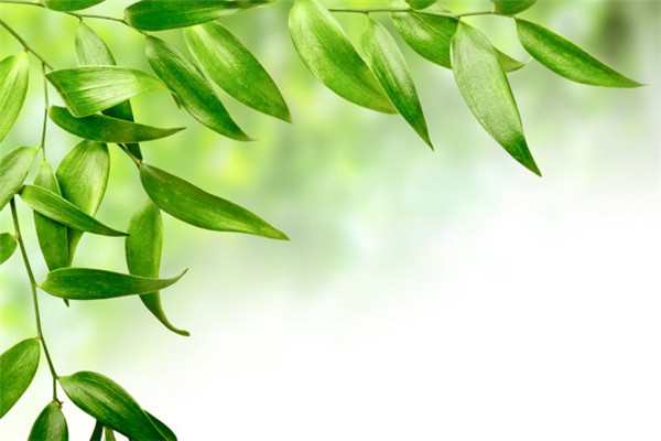 紫微斗数命理看你们适合闪婚吗？