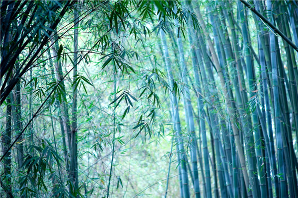 拈花为墨，静语流年，心若琉璃，岁月静好