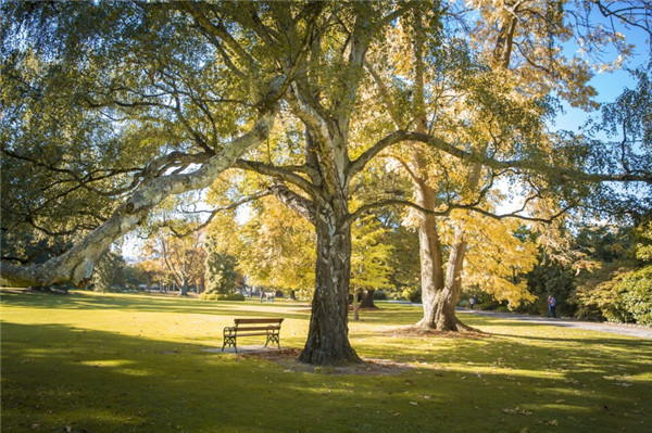 情字这条路怎么走？ 双方个性不合怎么办？