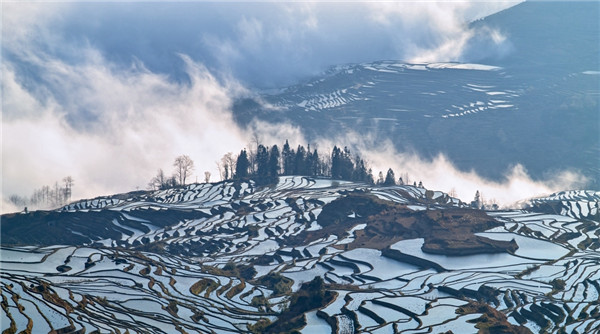 命盘上有很多煞星该怎么办？