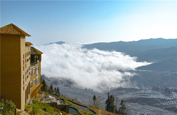 接受命运但不接受宿命是什么意思？