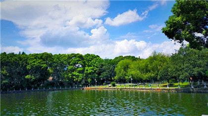 职场中哪种命格的同事适合当你的成功导师？